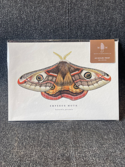 A5 Art Prints by Moss and Morchella