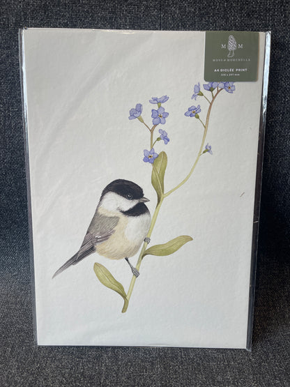 A4 Art Prints by Moss and Morchella