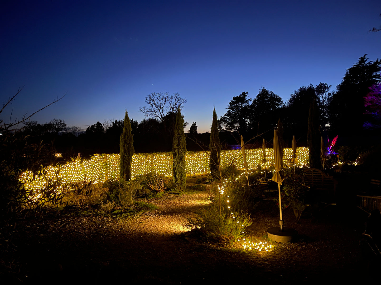 Enchanted Gardens Light Trail Winter 2025