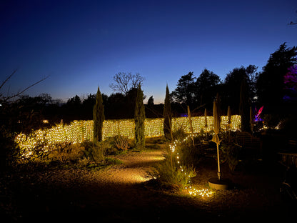 Enchanted Gardens Light Trail Winter 2025