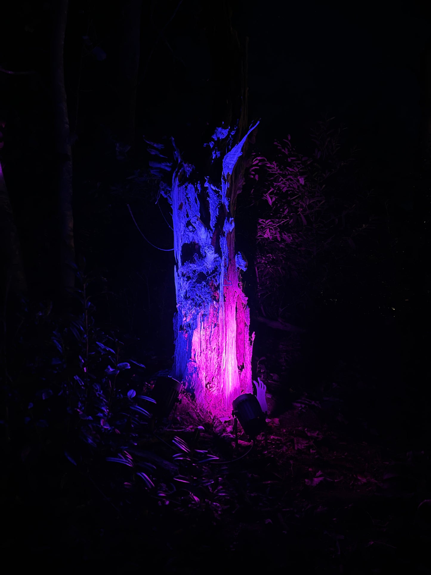 Enchanted Gardens with Extra Special Guest Father Christmas December 2025