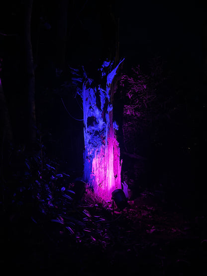 Enchanted Gardens with Extra Special Guest Father Christmas December 2025