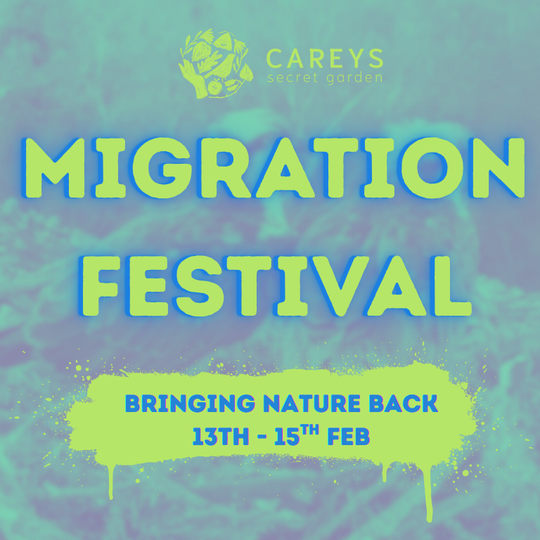 Migration Festival Bringing Nature Back 2026
