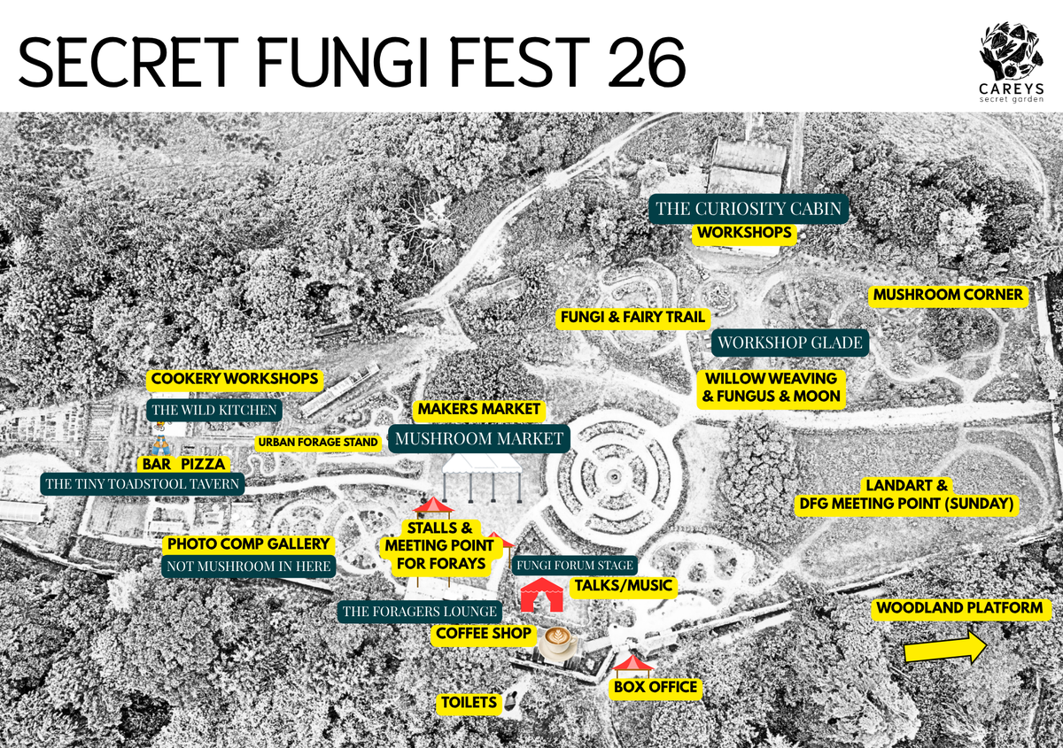 Secret Fungi Festival 2026