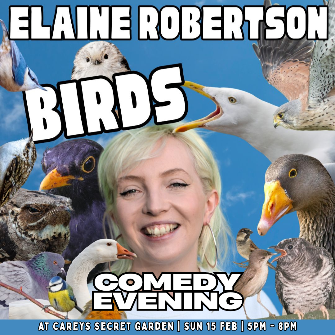 Comedy Evening with Elaine Robertson Sun 15th Feb 2026