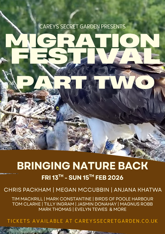 Migration Festival Bringing Nature Back 2026