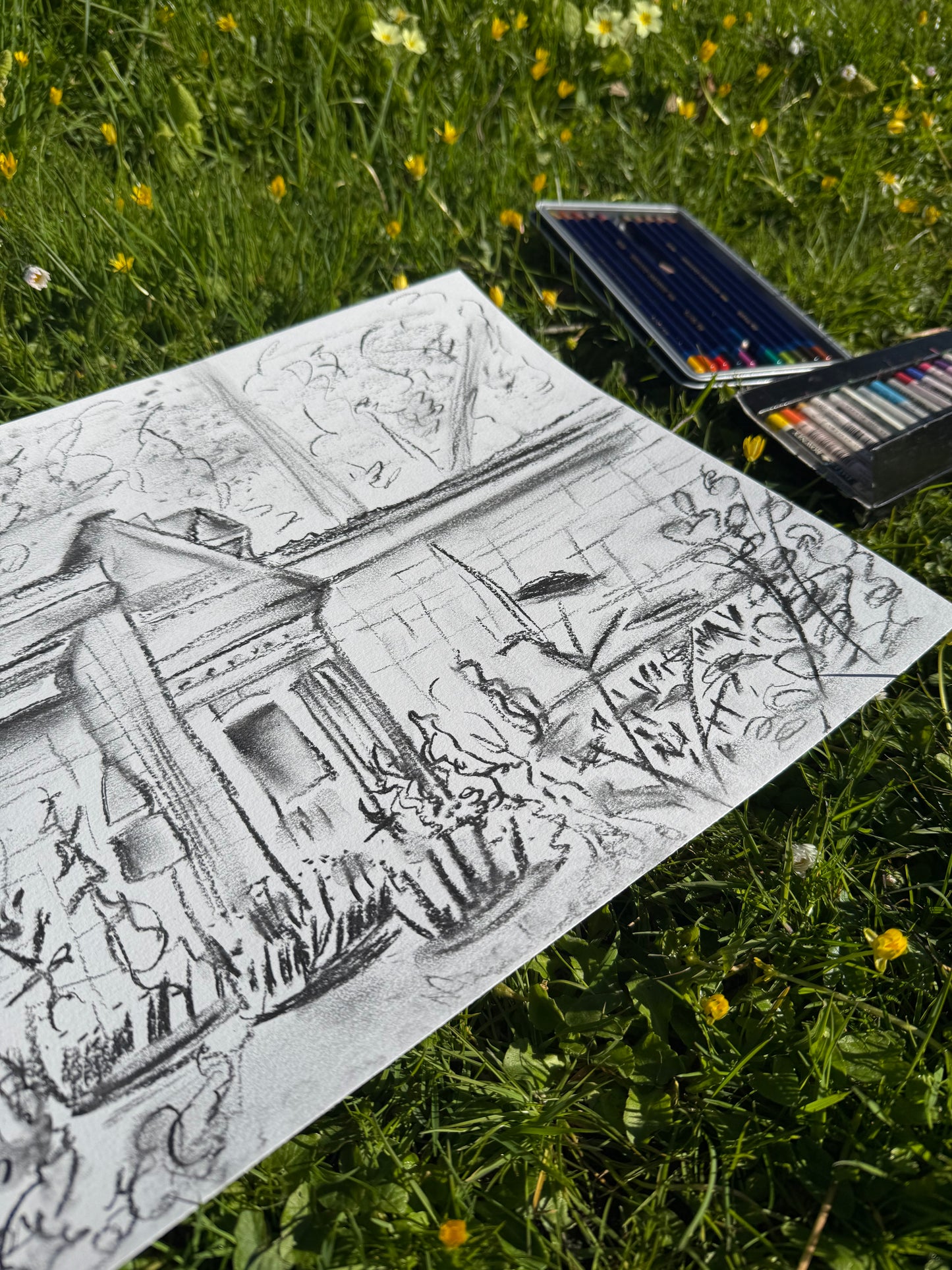 Mindful Drawing in Nature Workshop Sat 19th July 2025