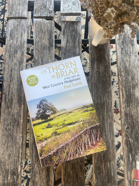 Of Thorn and Briar Book