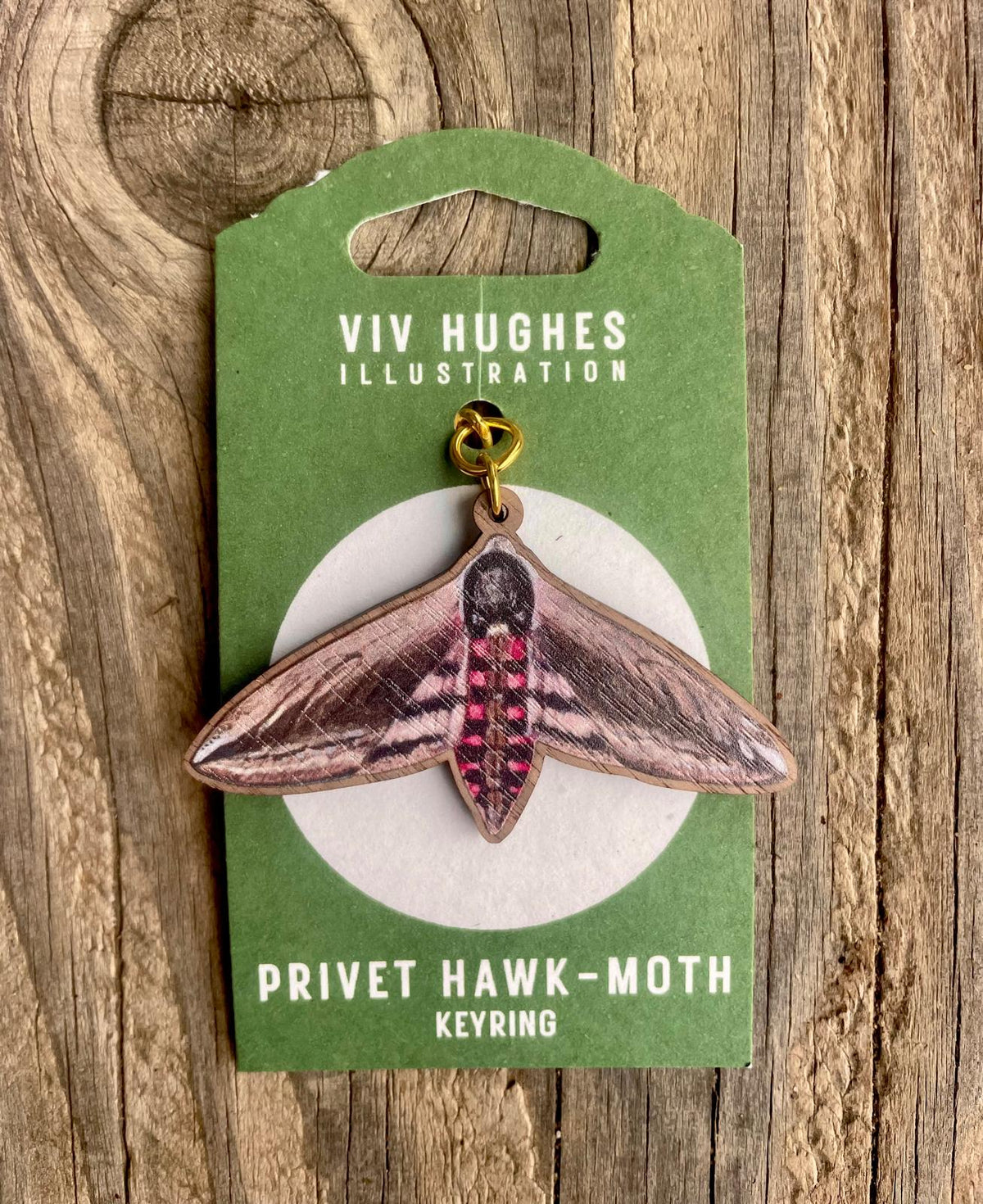 Privet Hawk Moth Wooden Keyring by Viv Hughes