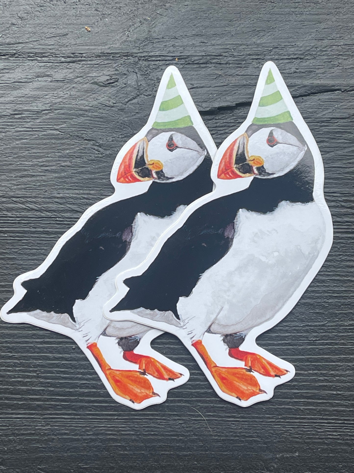 Party Puffin Sticker by Viv Hughes