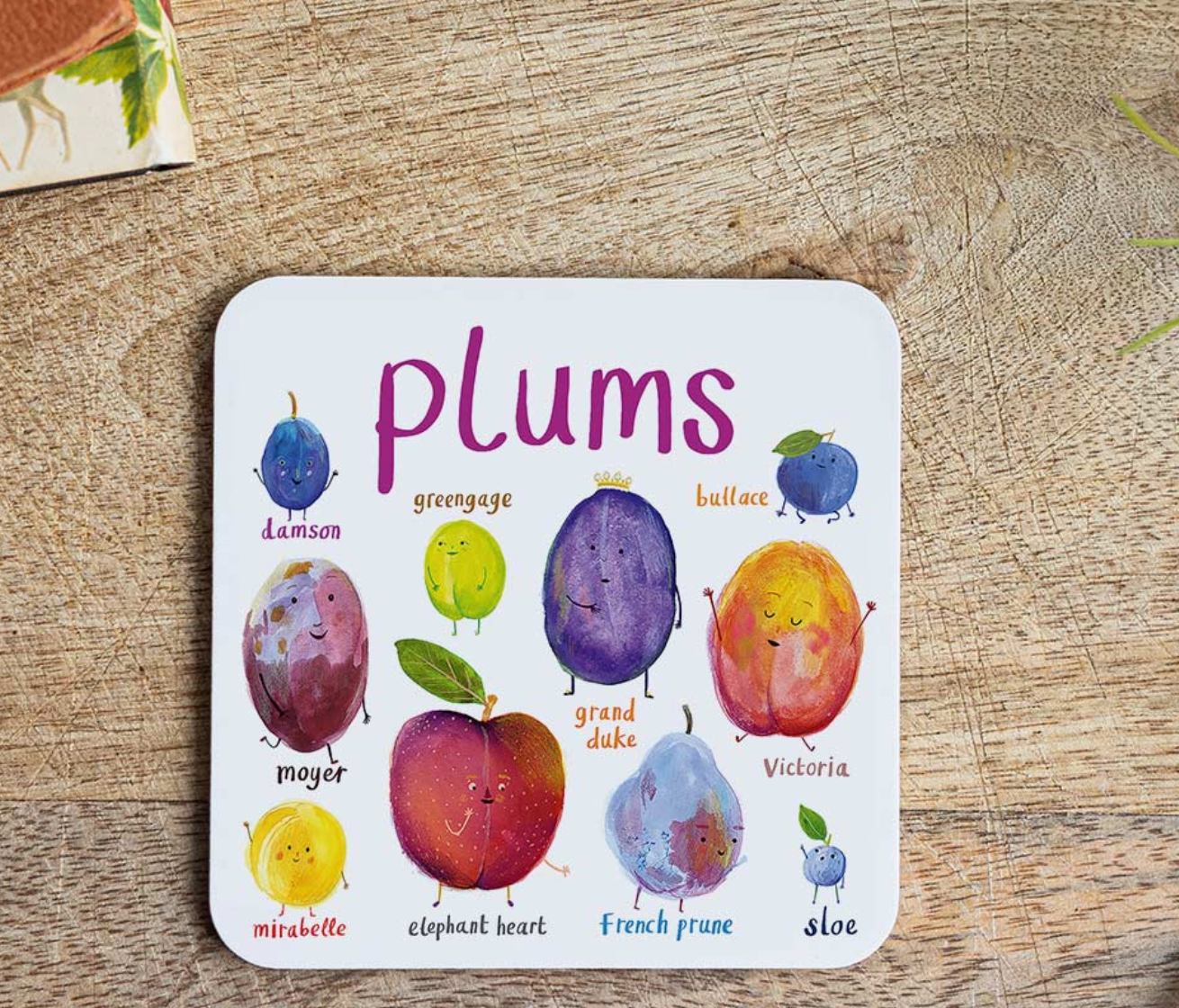 Plums Coaster by Sarah Edmonds Illustration