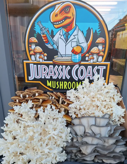 Mushroom Growing Workshop Friday 24th July 2026