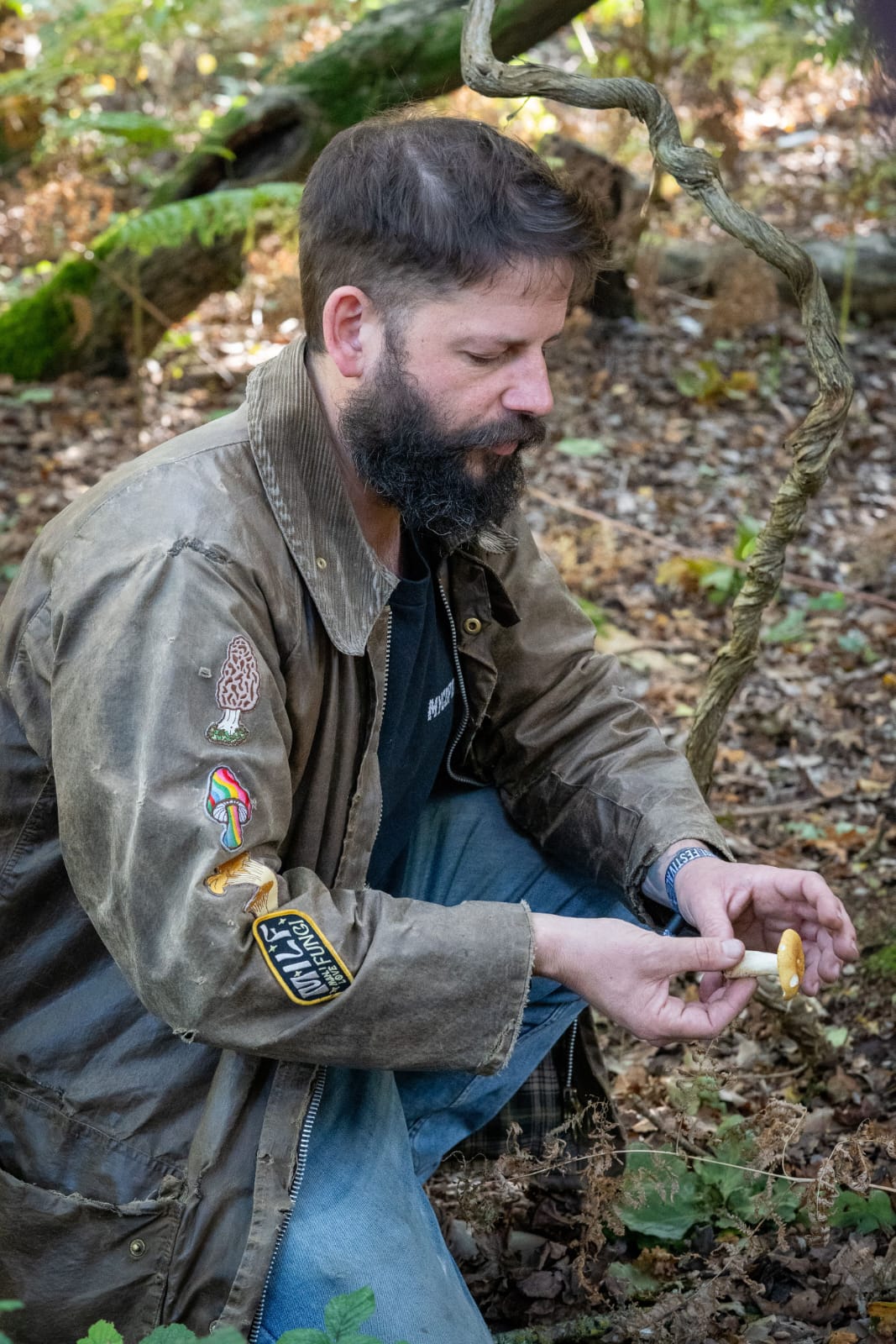 Fungi Foraging with Andy Knott Sat 22nd Nov 2025