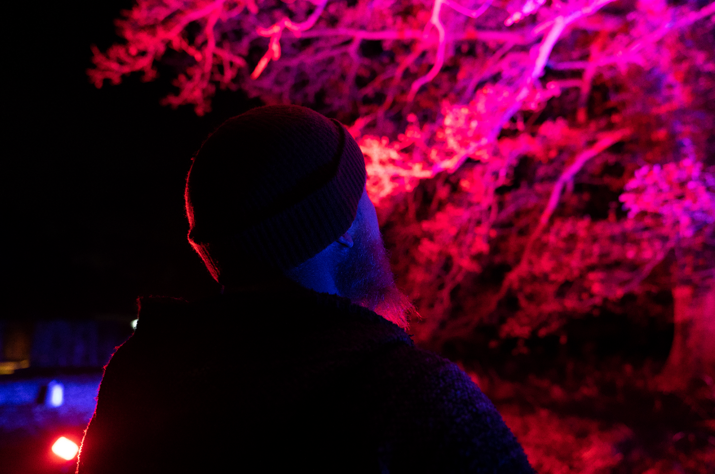 Enchanted Gardens Light Trail Winter 2025