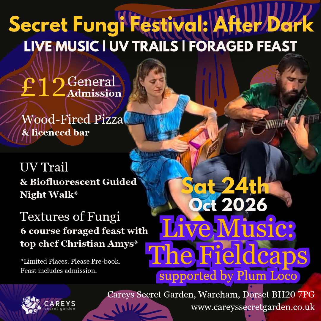Secret Fungi Festival 2026