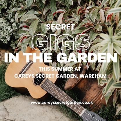 Dorset Wrecks Sea Shanty Gig in the Secret Garden 4th September 2026